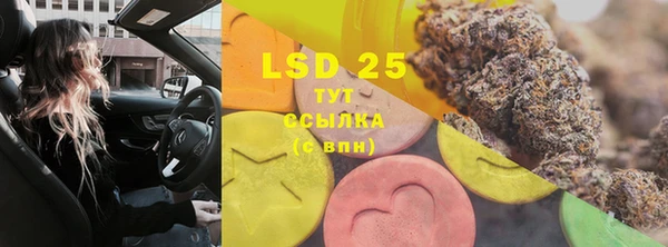 твердый Богданович