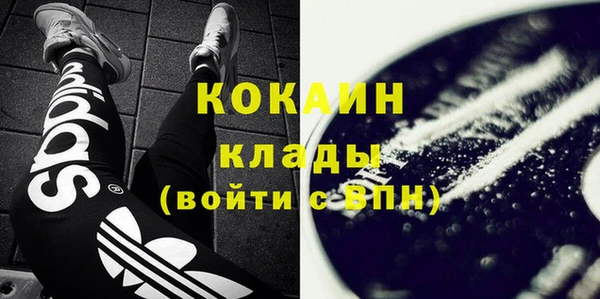 твердый Богданович
