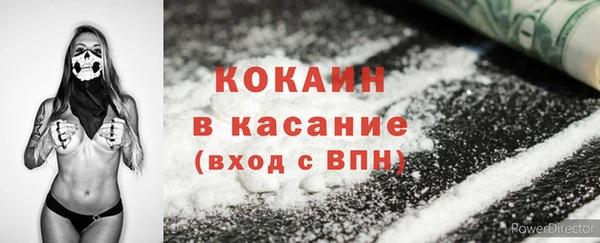 твердый Богданович