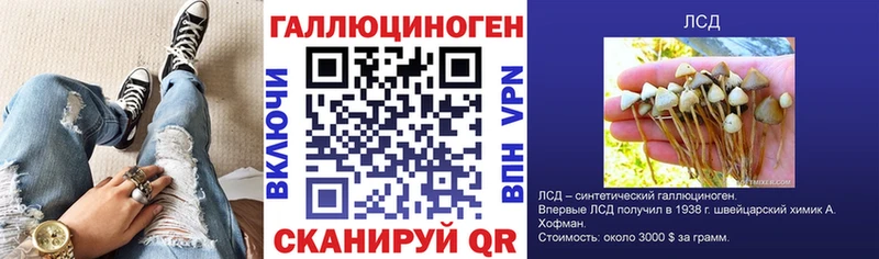 Псилоцибиновые грибы Magic Shrooms  хочу наркоту  Избербаш 